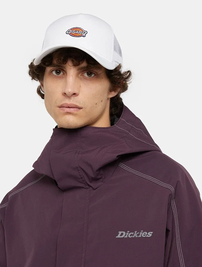 Кепка Dickies Hanston Trucker Cloud